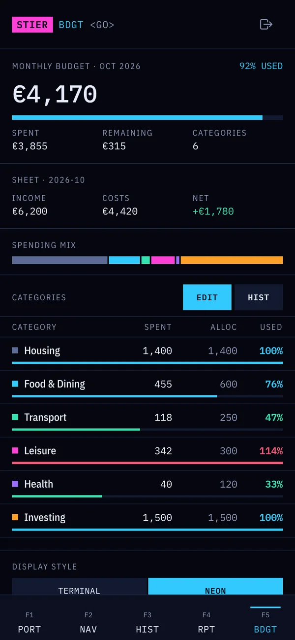 StierTerm monthly budget screen, neon style